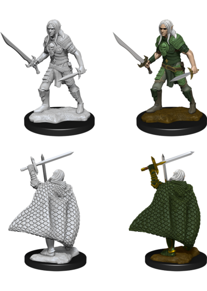 Pathfinder Unpainted Miniatures: Male Elf Fighter